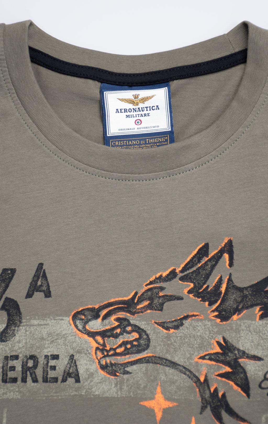 Футболка AERONAUTICA MILITARE FW 26/27/BD tea leaf (TS 2579) 