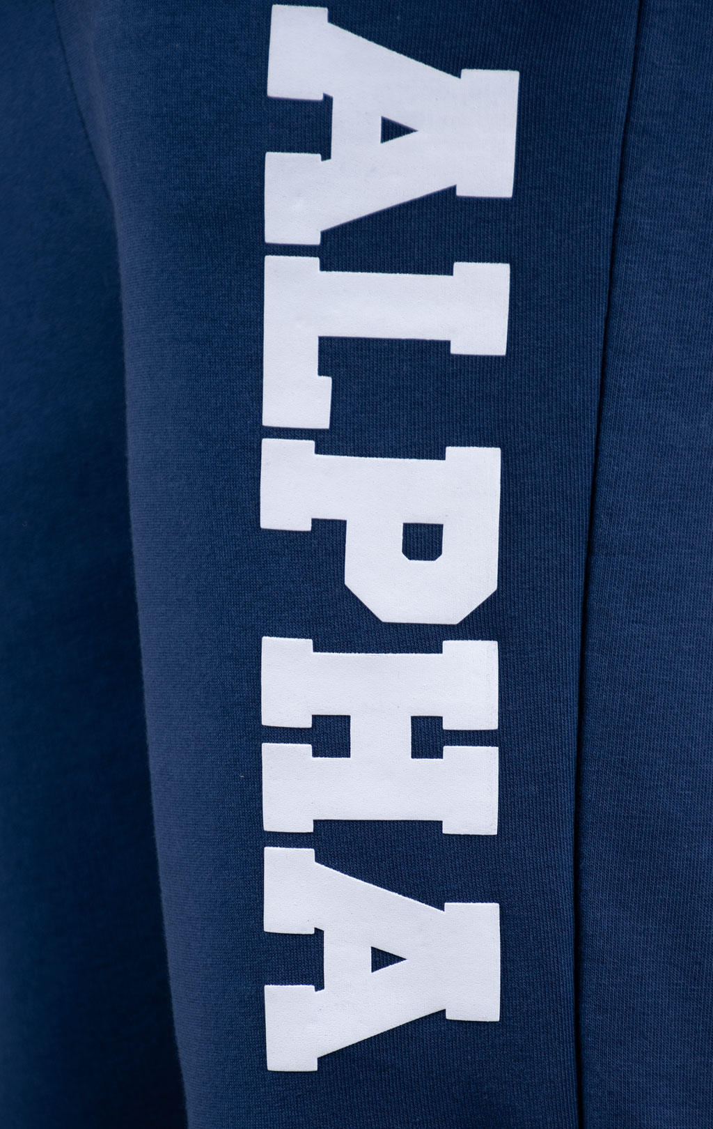 Брюки спортивные джоггеры ALPHA INDUSTRIES BIG LETTERS JOGGER new navy 