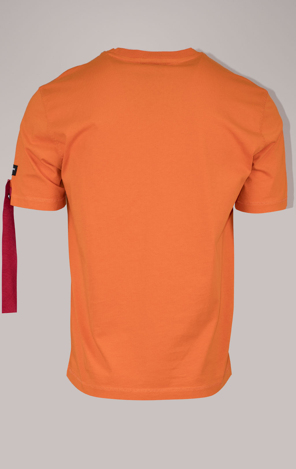 Футболка AERONAUTICA MILITARE SS 24/TR carrot orange (TS 2209) 