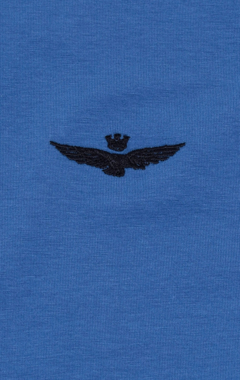 Футболка AERONAUTICA MILITARE SS 21/TR azzurro (TS 1816) 