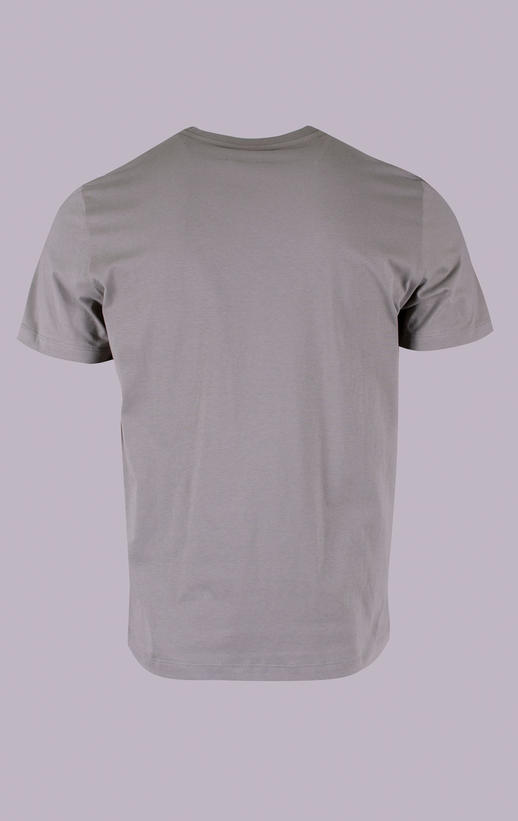 Футболка PARAJUMPERS PATCH TEE SS 26 ashen sage 