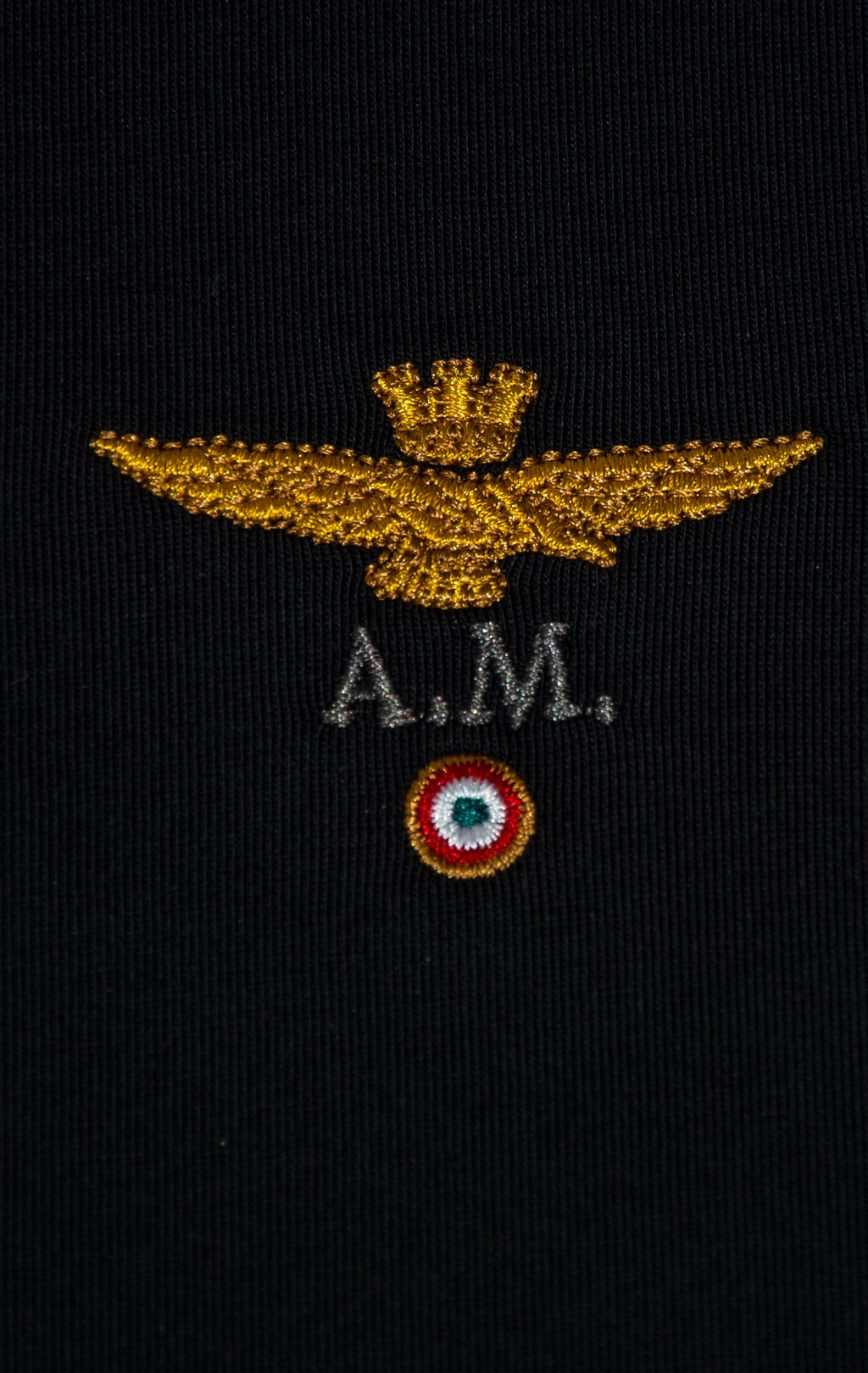 Лонгслив AERONAUTICA MILITARE big size FW 25/26/TR jet black (TS 2390) 