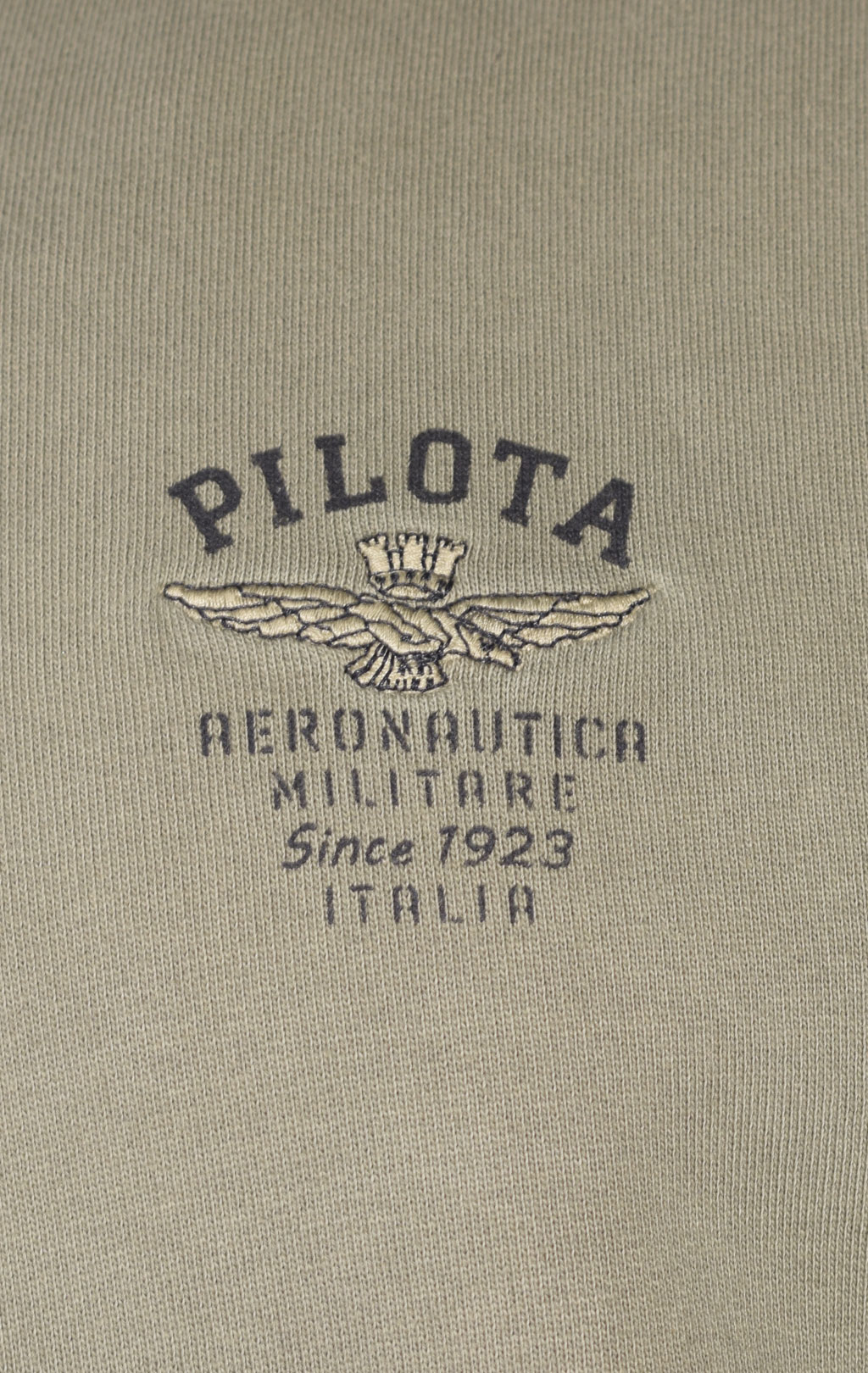 Свитшот AERONAUTICA MILITARE FW 23/24/TR light green (FE 1829) 