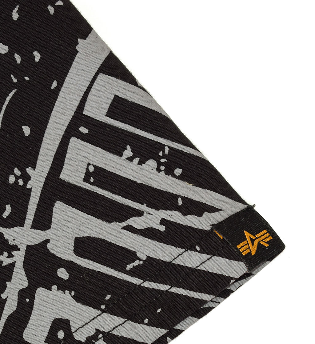 Футболка ALPHA INDUSTRIES MOON LANDING T black 