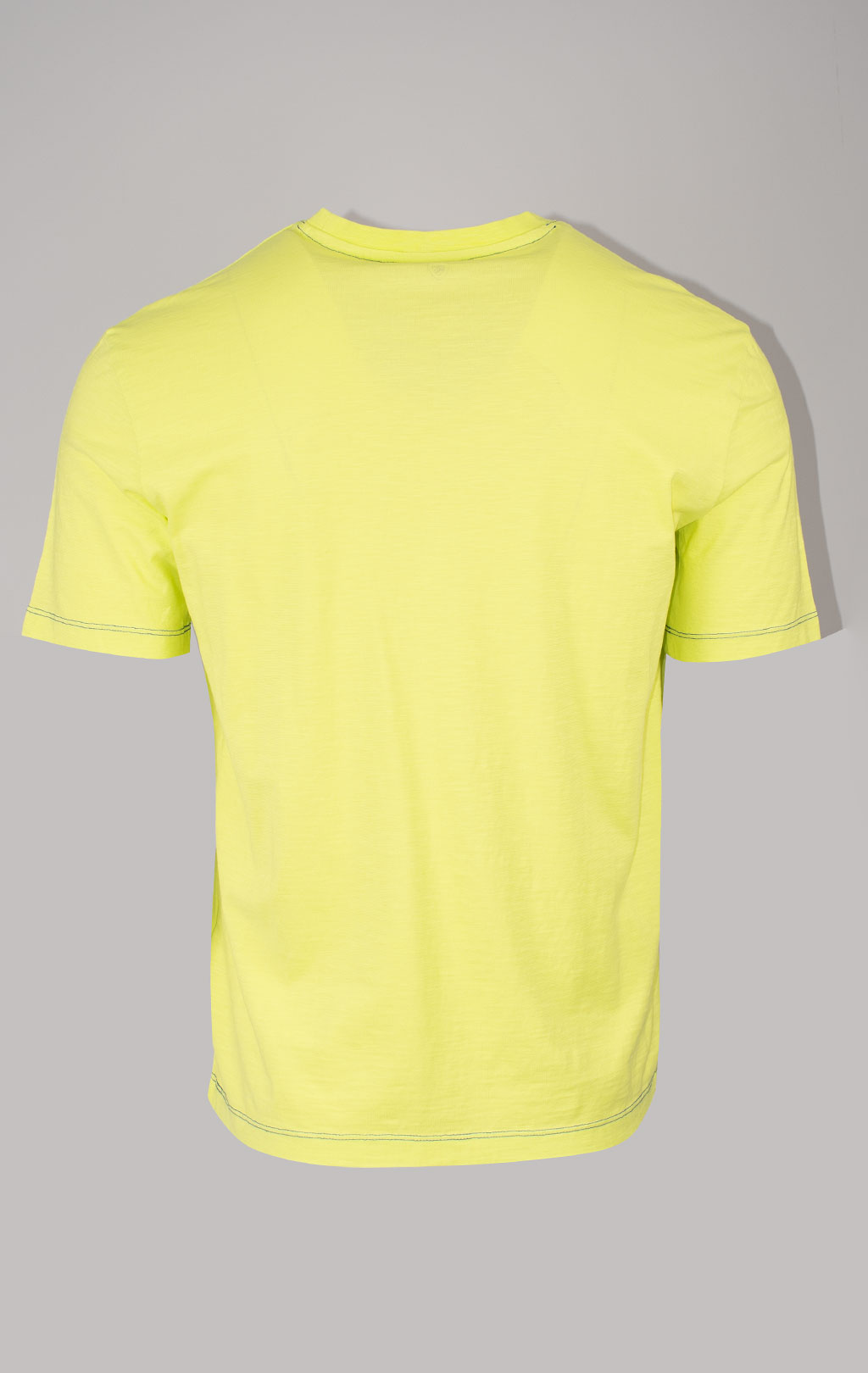 Футболка BLAUER SS 24 yellow (HO2349) 