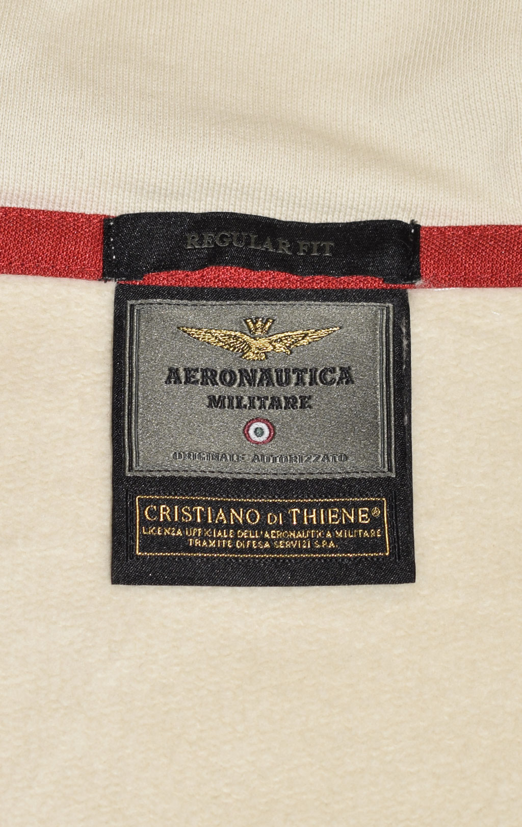 Толстовка с капюшоном AERONAUTICA MILITARE ANTARCTICA FW 23/24/TR ghiaccio (FE 1820) 