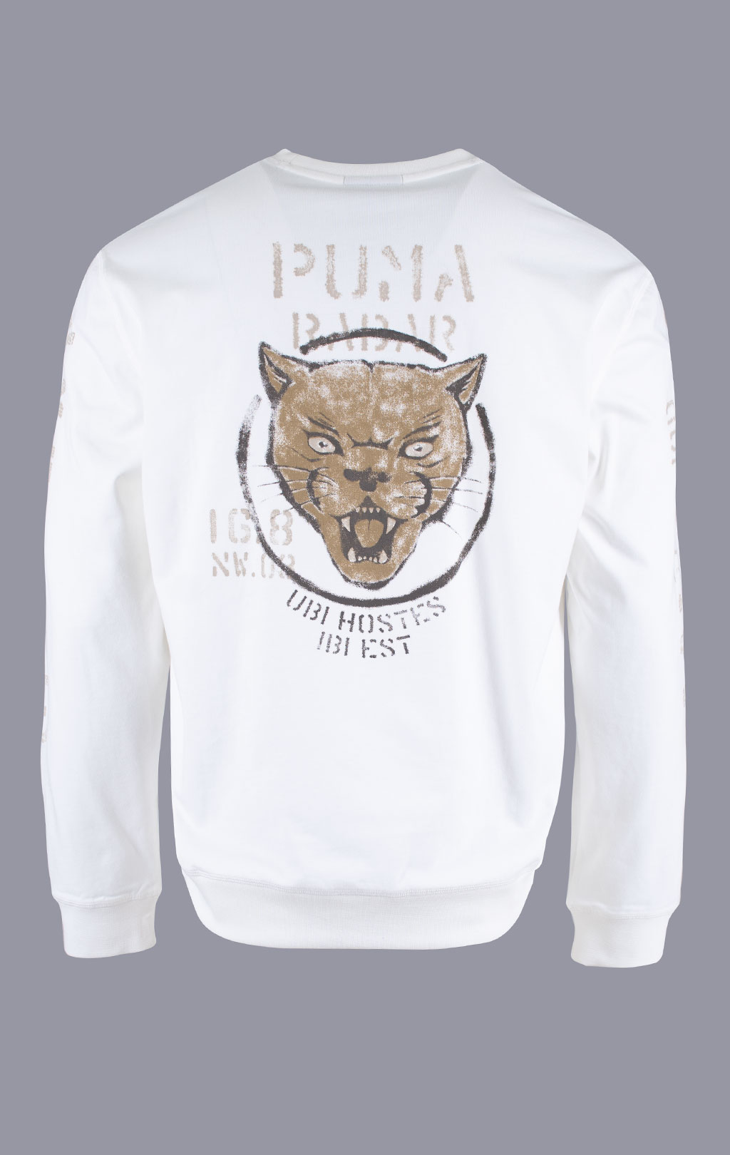 Свитшот AERONAUTICA MILITARE SS 26/TR off white (FE 2099) 