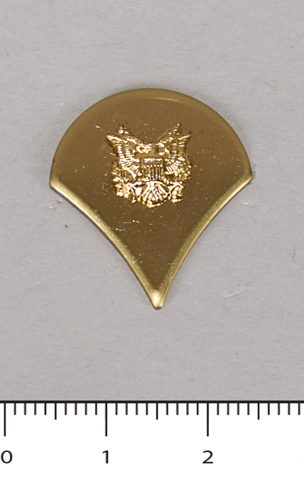 Знак звание Specialist парадный (P12259) США