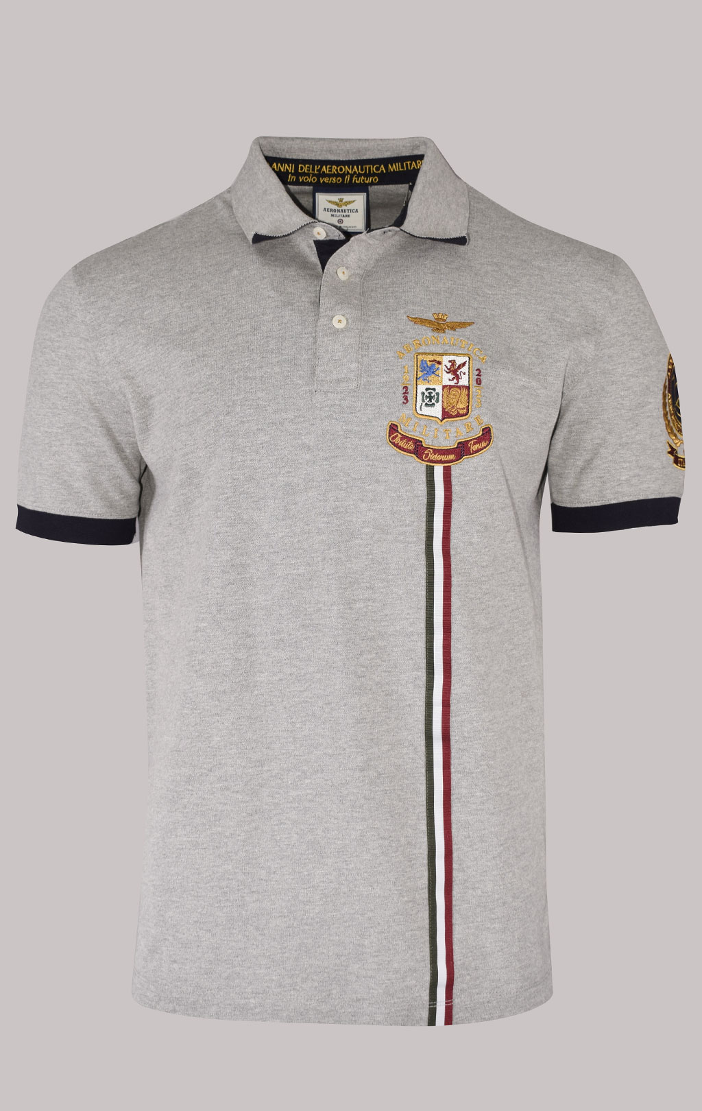 Футболка-поло AERONAUTICA MILITARE SS 23/BD grigio melange (PO 1691) 