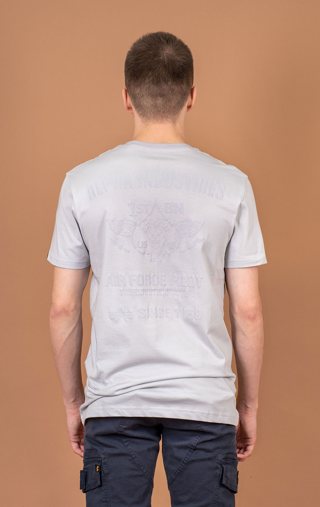 Футболка ALPHA INDUSTRIES AIR FORCE T pastel grey 