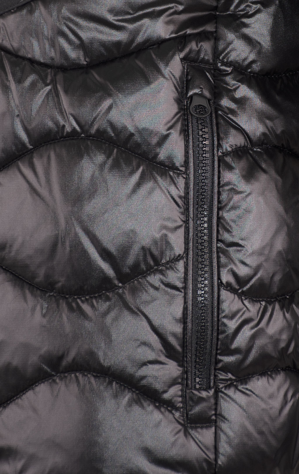 Куртка BLAUER ALBERT FW 24/25 nero (CO8034) 