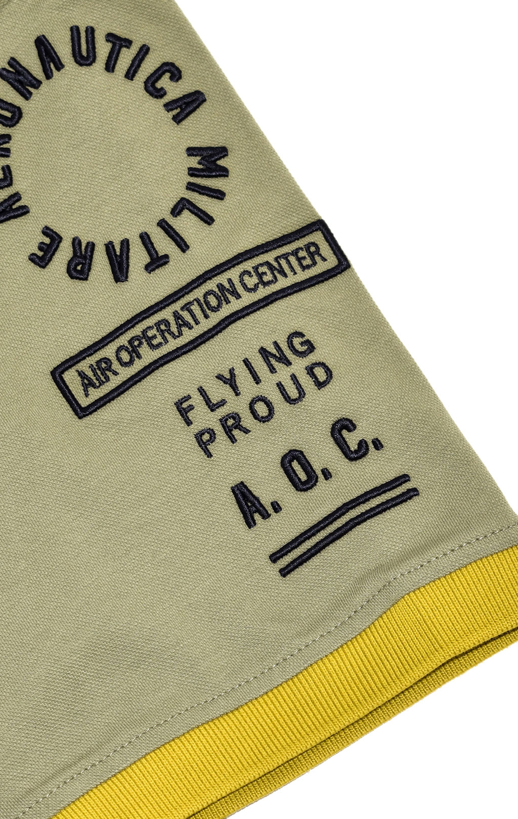 Футболка-поло AERONAUTICA MILITARE SS 21/TR green (PO 1517) 