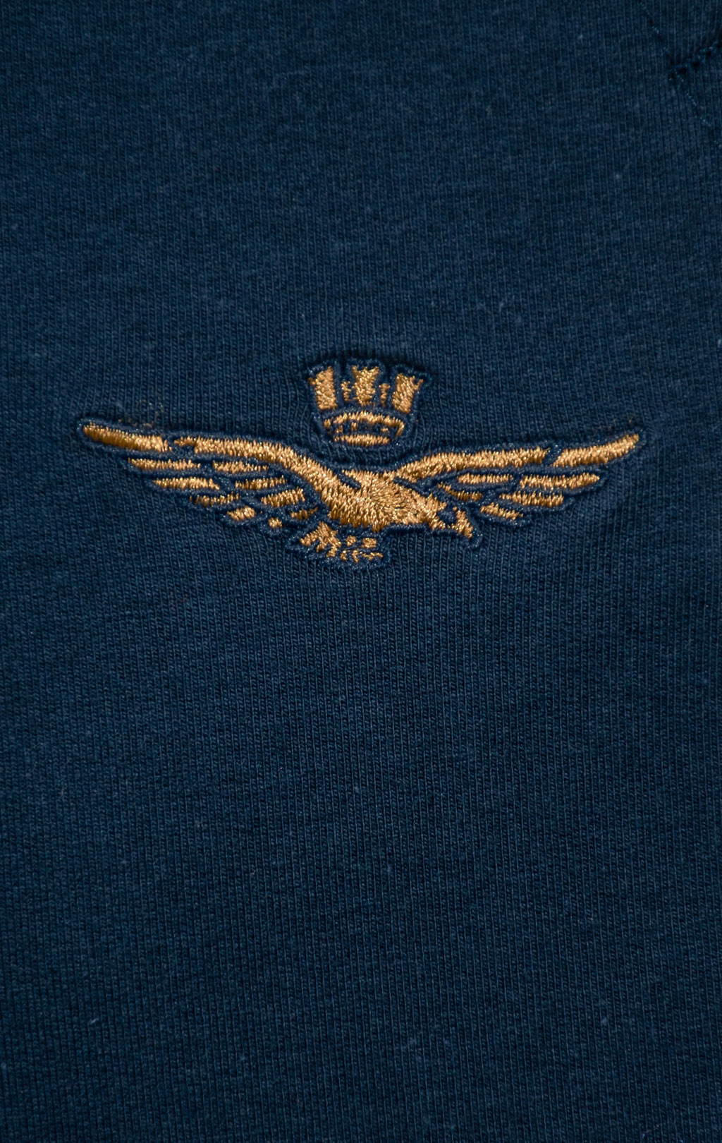Брюки спортивные AERONAUTICA MILITARE FW 25/26/BD blue navy (PF 1008) 