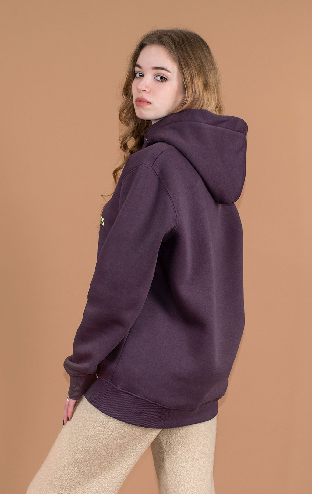 Толстовка ALPHA INDUSTRIES BASIC HOODY plum 