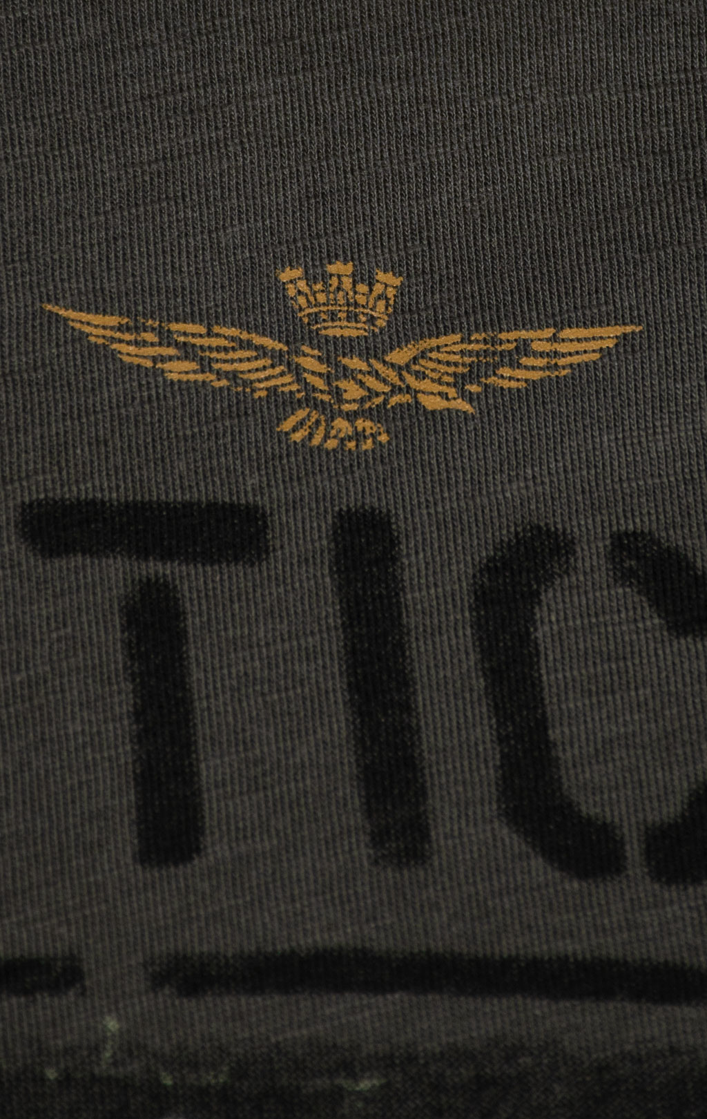 Лонгслив AERONAUTICA MILITARE FW 25/26/BD beluga grey (TS 2486) 