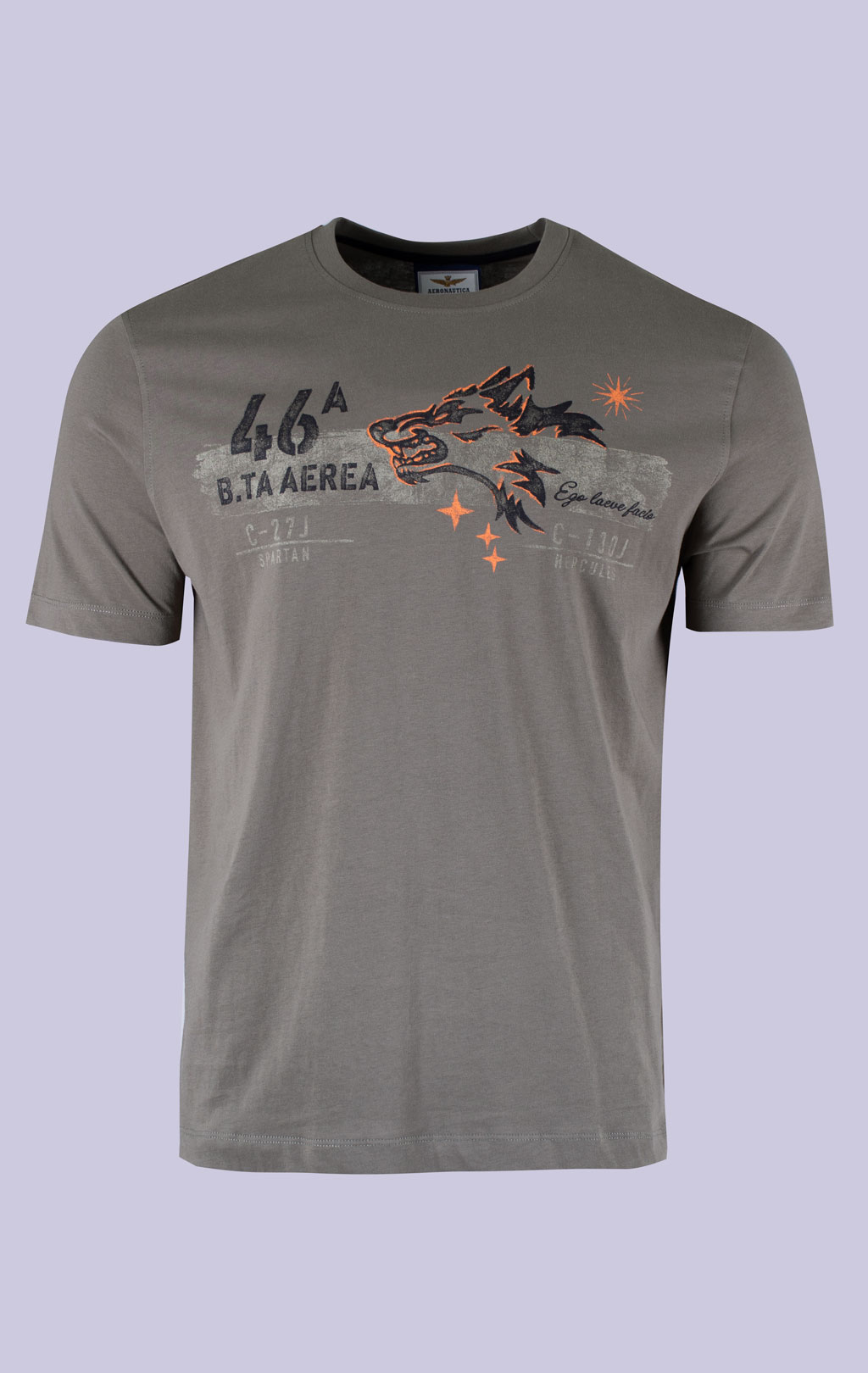 Футболка AERONAUTICA MILITARE FW 26/27/BD tea leaf (TS 2579) 