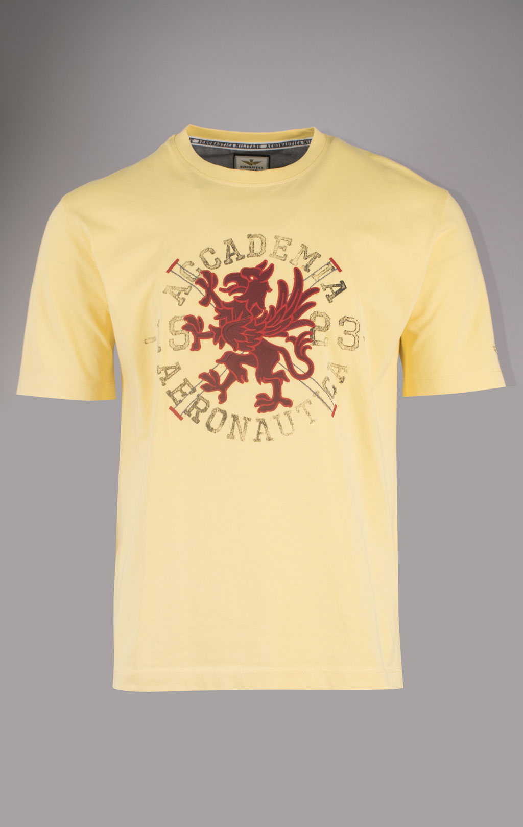Футболка AERONAUTICA MILITARE CORSO GRIFO SS 24/TR yellow (TS 2202) 