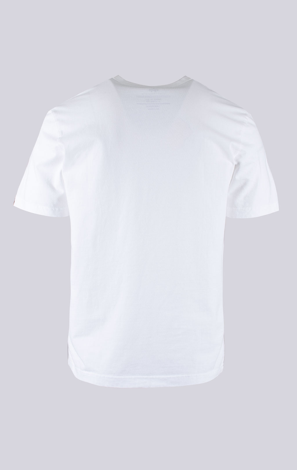 Футболка ALPHA INDUSTRIES ALPHA ANCHOR PRINT TEE SS 24 white 