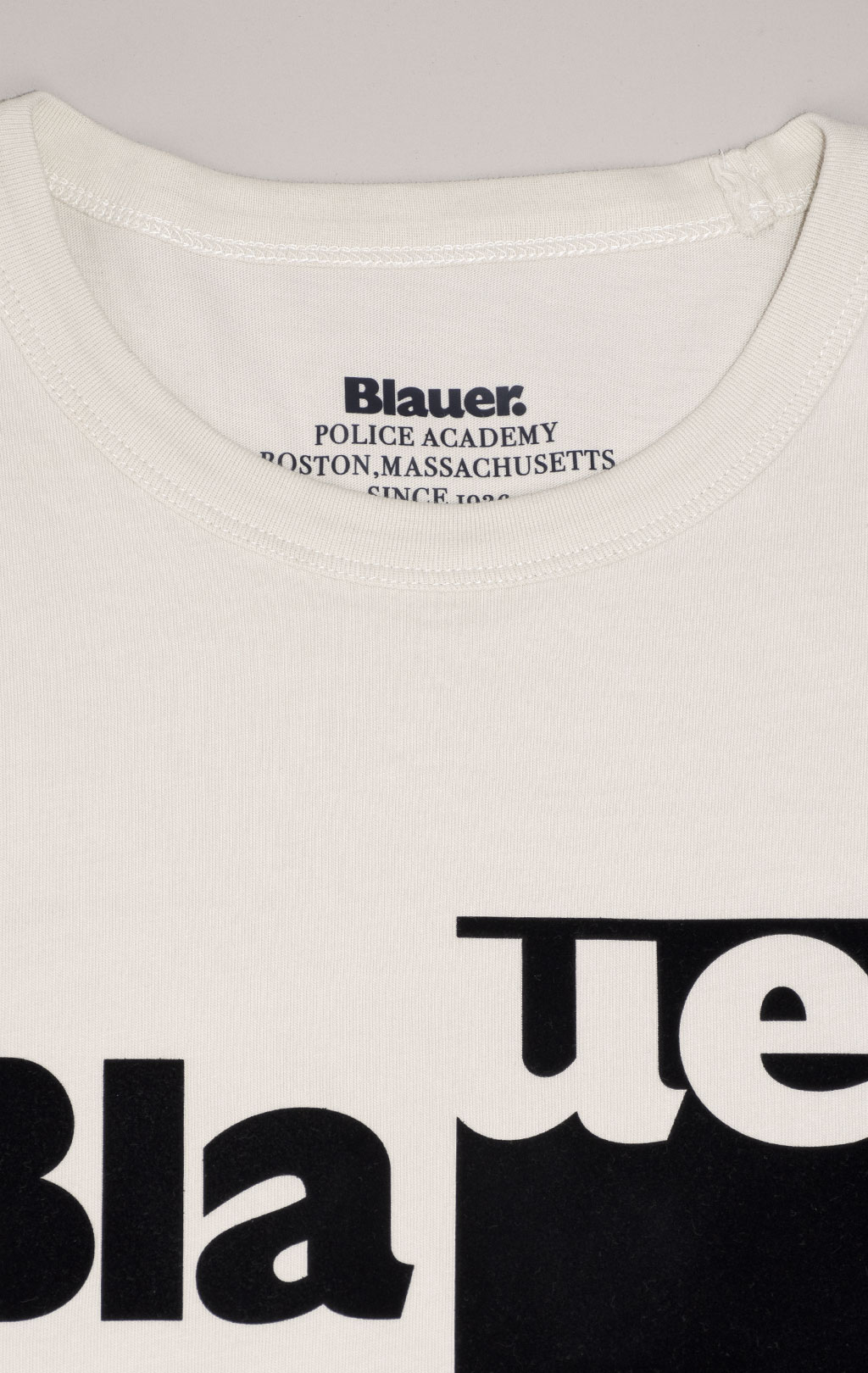 Футболка BLAUER GEORGE FW 24/25 white (HO2224) 