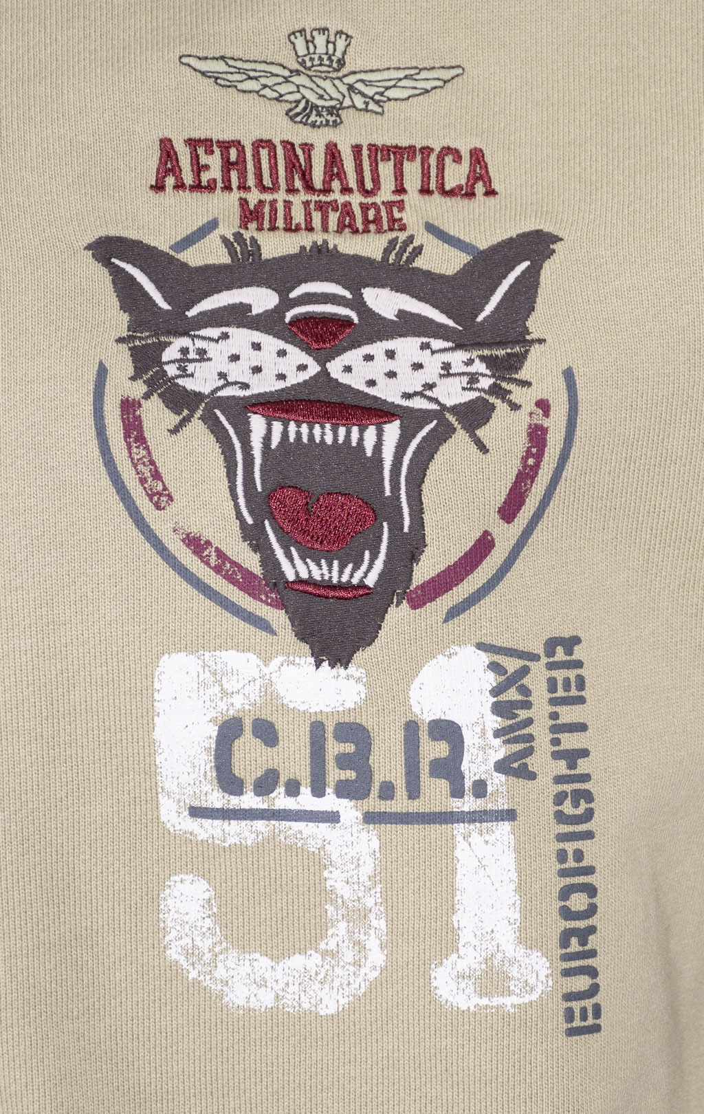 Олимпийка AERONAUTICA MILITARE SS 24 m/TR sage green (FE 1881) 