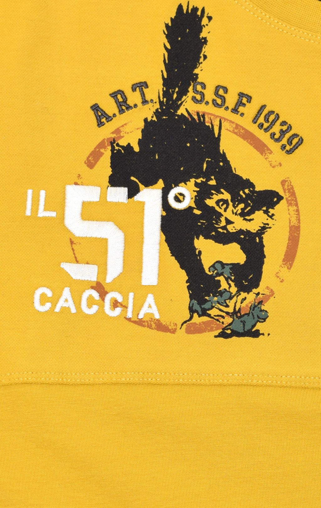 Футболка AERONAUTICA MILITARE FW 20/21/TR giallo (TS 1777) 