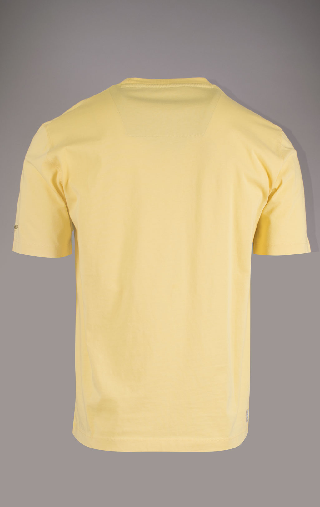 Футболка AERONAUTICA MILITARE CORSO GRIFO SS 24/TR yellow (TS 2202) 