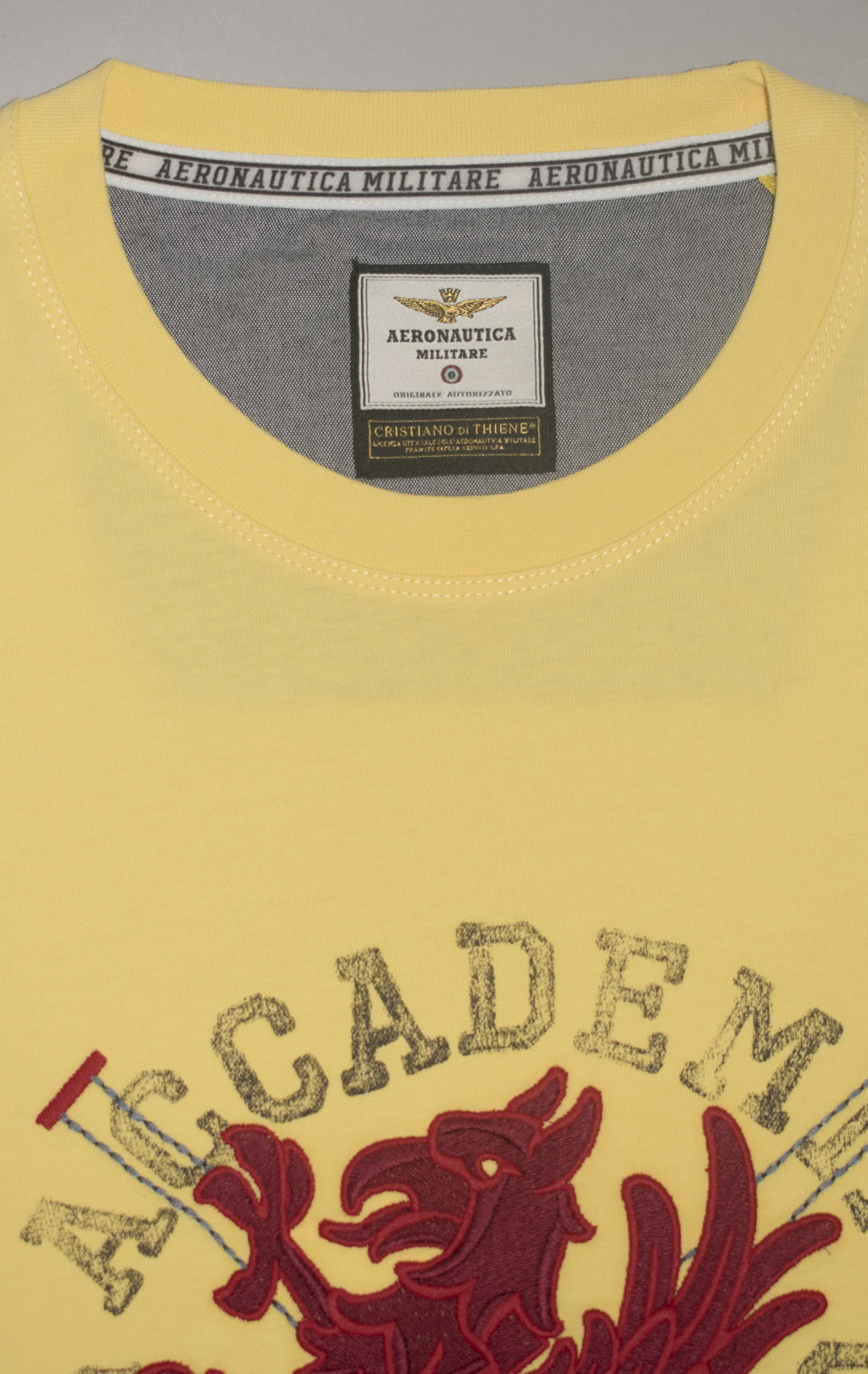 Футболка AERONAUTICA MILITARE CORSO GRIFO SS 24/TR yellow (TS 2202) 