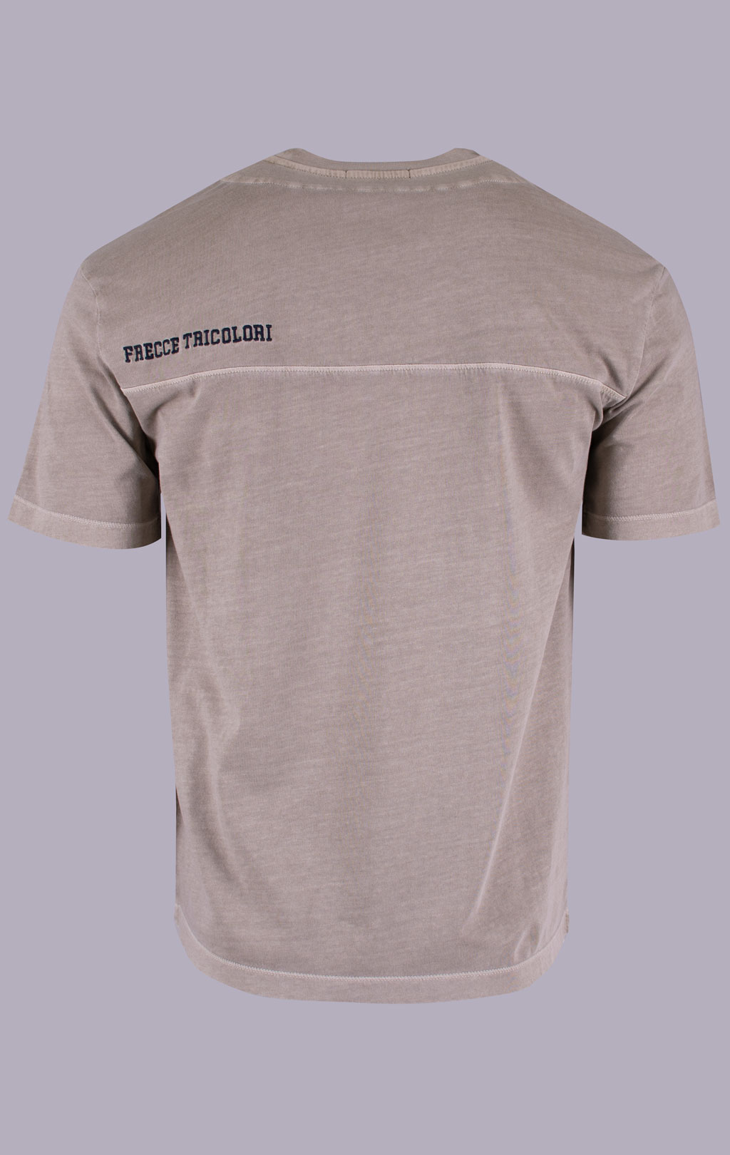 Футболка AERONAUTICA MILITARE SS 26/IN winter twig (TS 2519) 