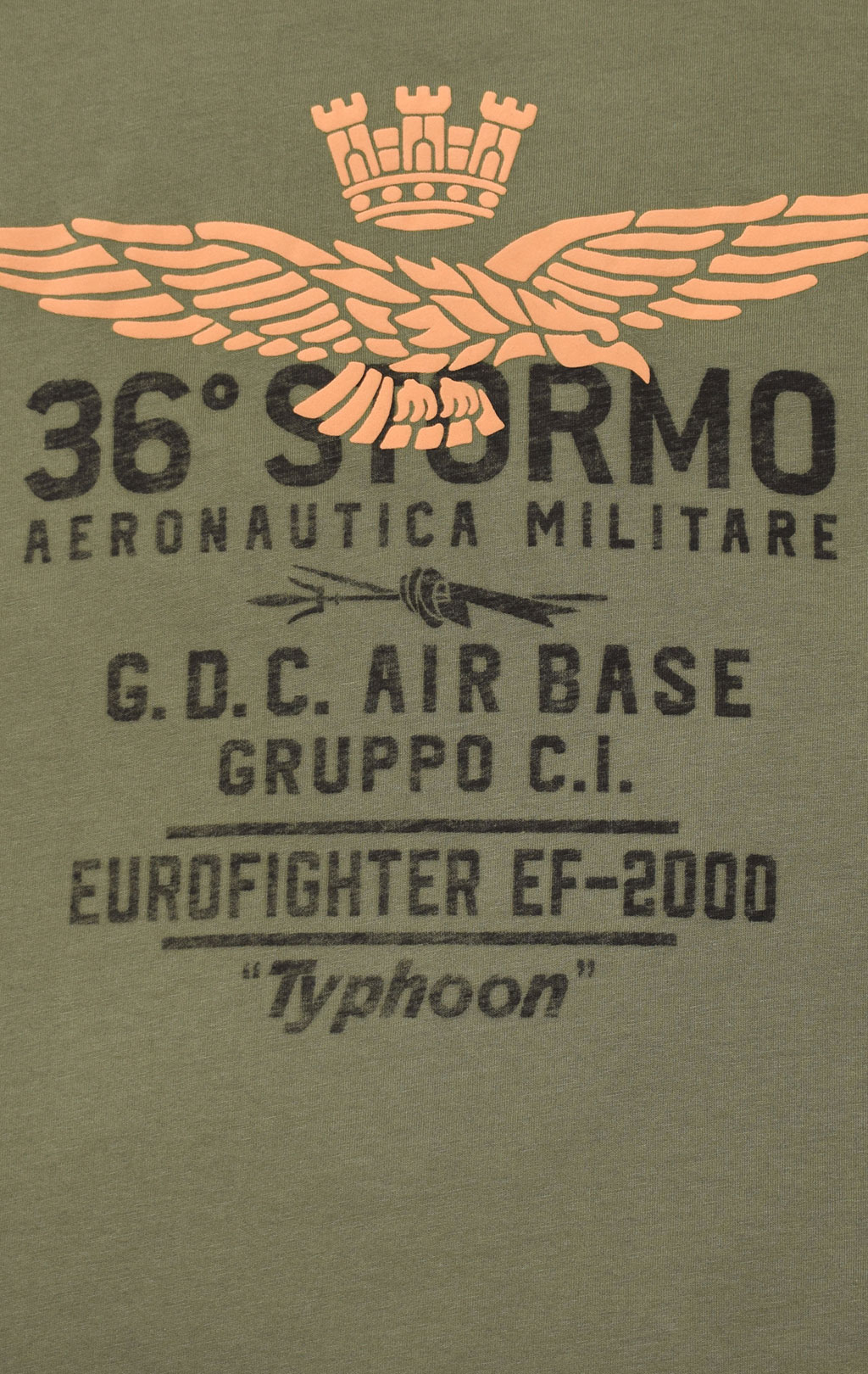 Футболка AERONAUTICA MILITARE SS 21/TR verde scuro (TS 1867) 