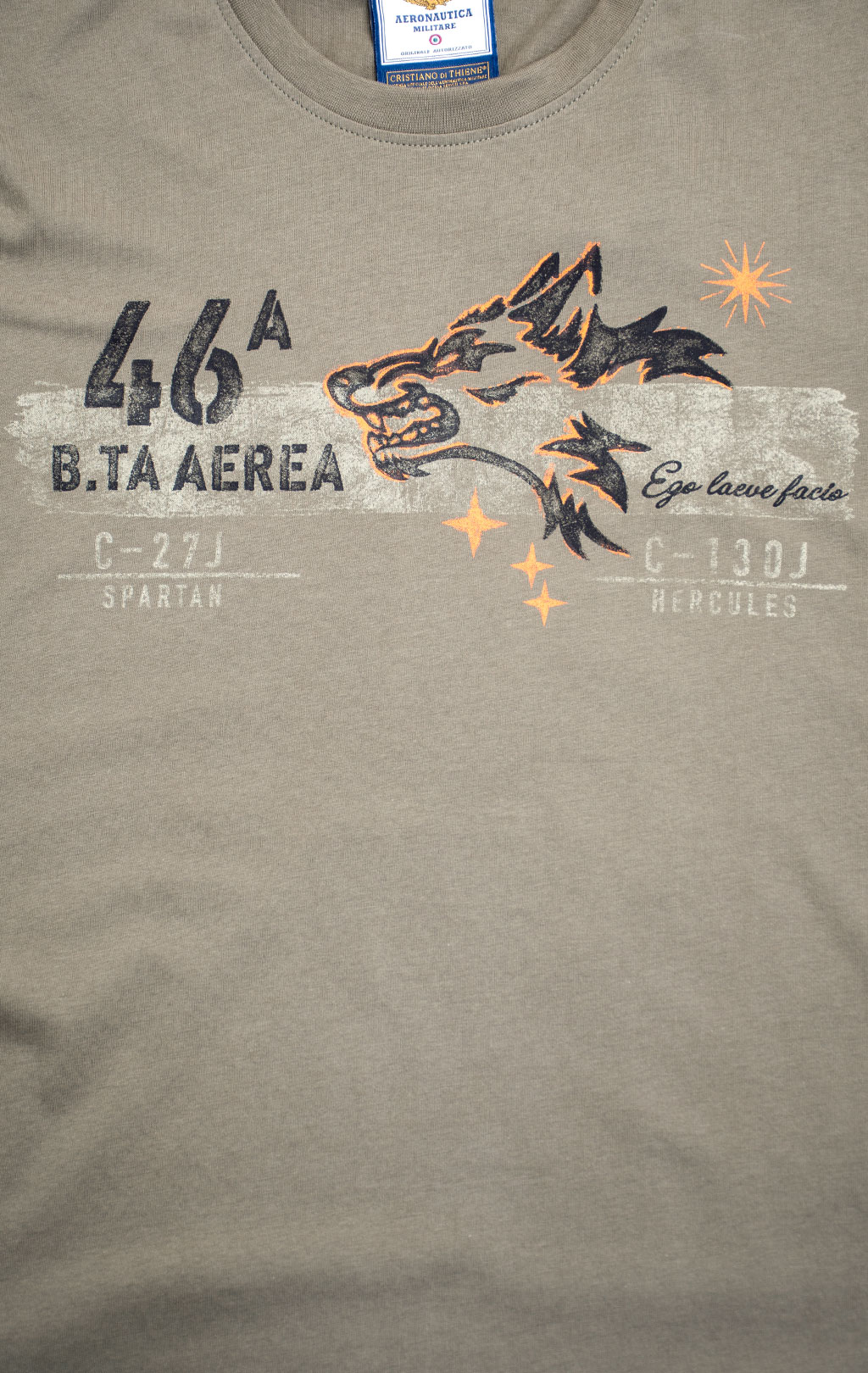 Футболка AERONAUTICA MILITARE FW 26/27/BD tea leaf (TS 2579) 
