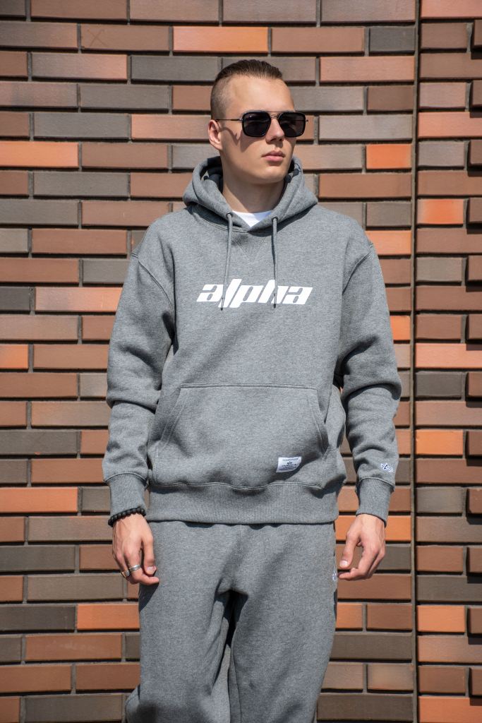 Толстовка ALPHA INDUSTRIES ALPHA LOGOS HOODIE FW 24/25 medium charcoal heather фото 2