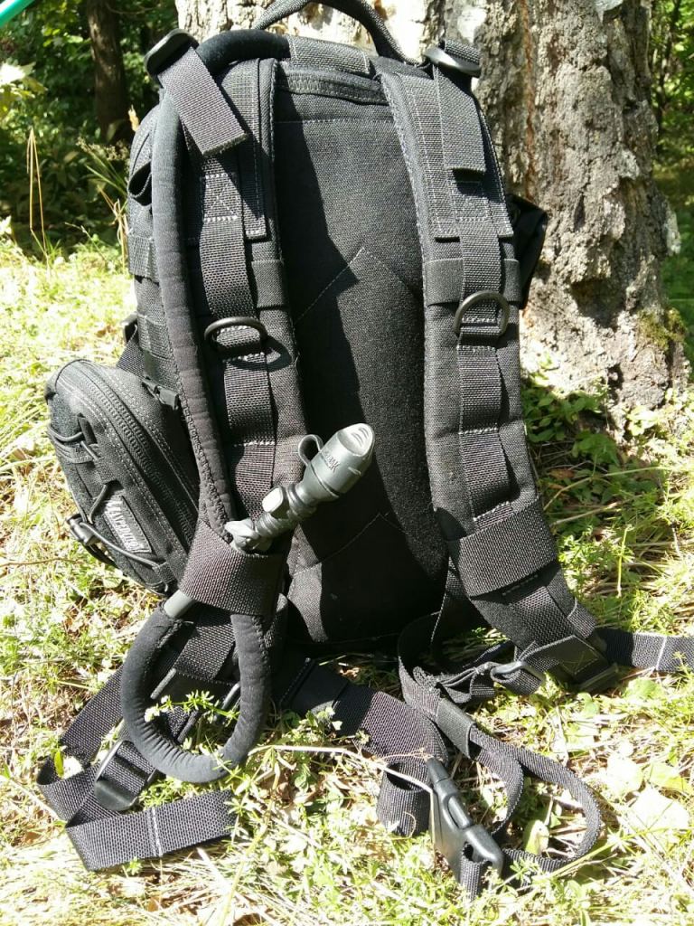 макспед 4.jpg макспед 4.jpg