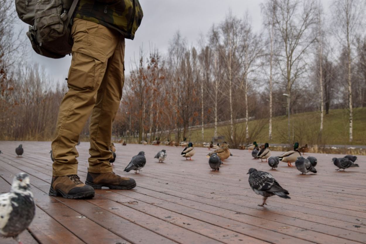 Ботинки Timberland Ботинки Timberland