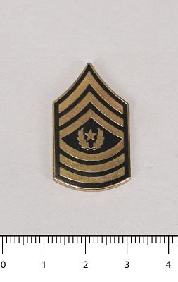 Знак звание Command.Sergeant Major парадный (14431)